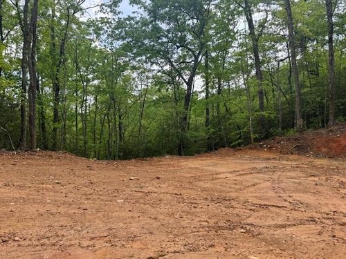 00 Tyler Lane, Marble, NC, 28905 | Card Image