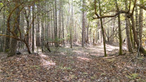 1195 Idlewild Dr, Cave Junction, OR, 97523-9797 | Card Image