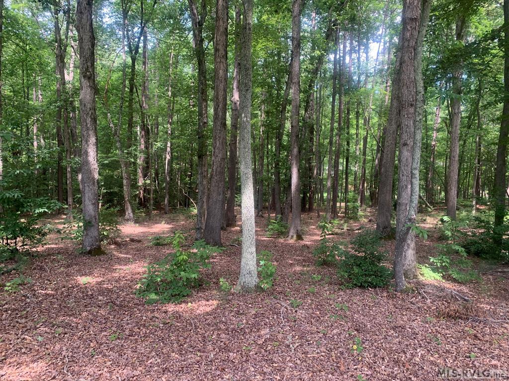 Land in Macon 3
