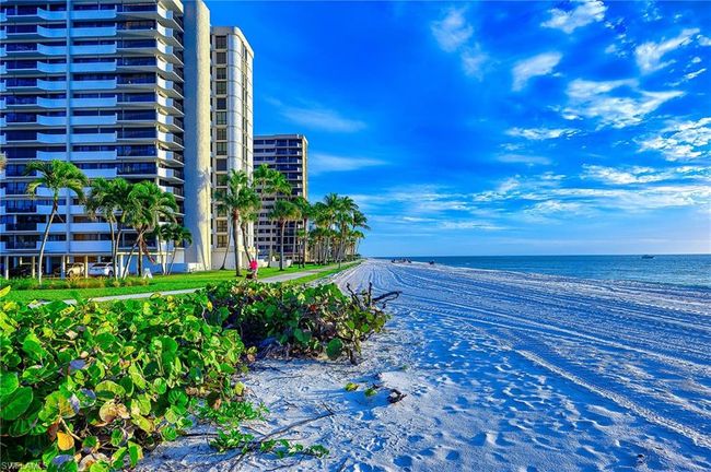 Beachfront | Image 35