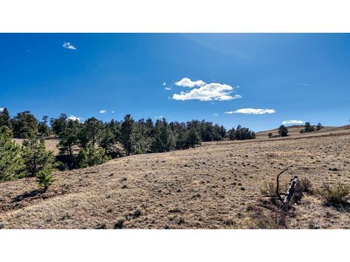 5090 Arikara Trl, Hartsel, CO, 80449 | Card Image