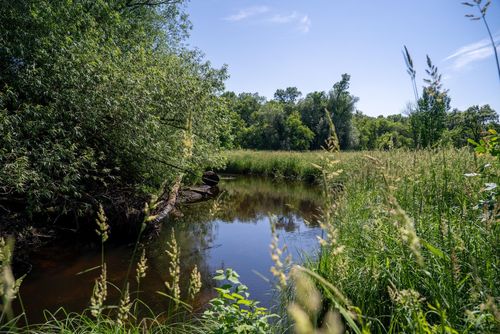 TBD E 6th St, Randall, MN, 56475 | Card Image