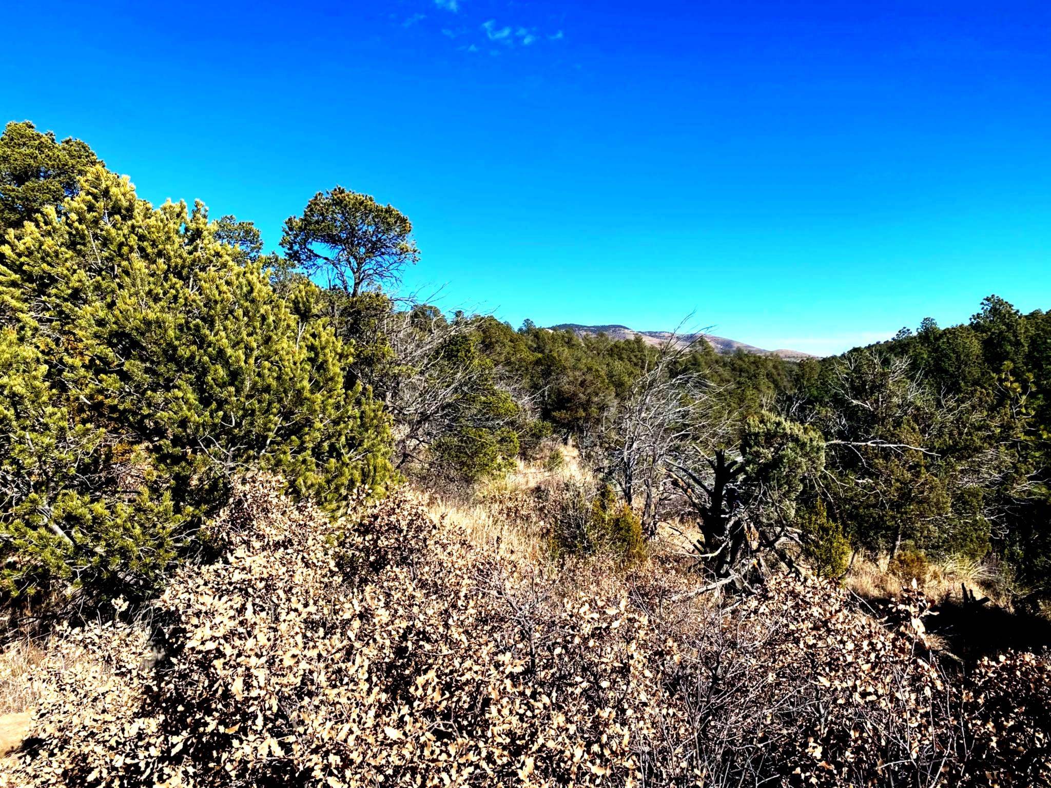 Land in Timberon