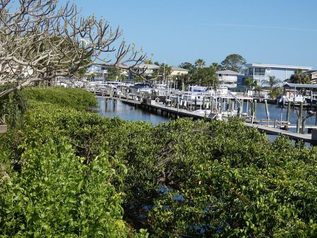 545 Walden Ct, Townhouse with 3 bedrooms, 3 bathrooms and null parking in DUNEDIN FL | Image 50