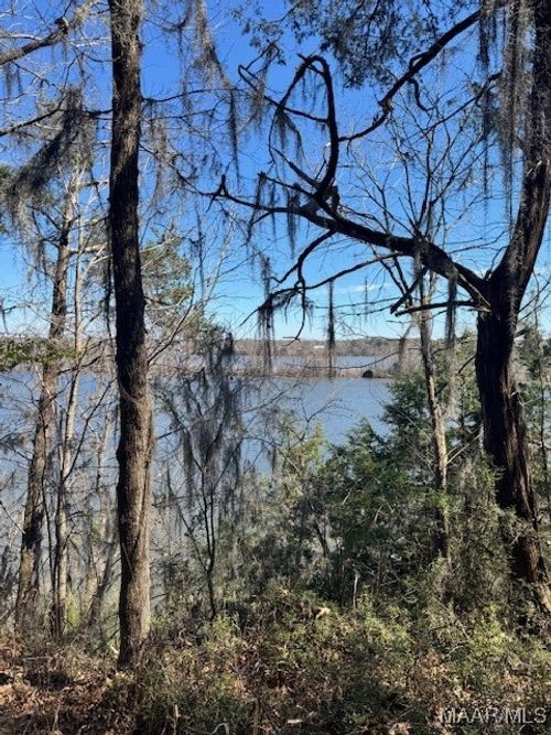 2 Prairie Bluff Drive, Catherine, AL, 36728 | Card Image