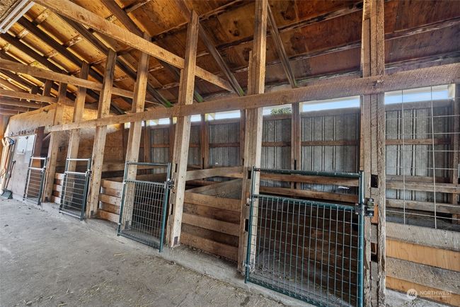 Stalls and more stalls and the concrete ally ways make for easy clean up | Image 30