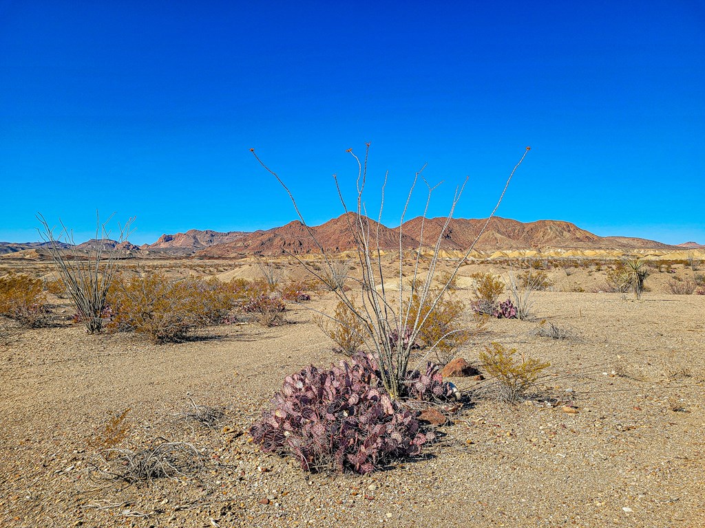 Land in Terlingua 4