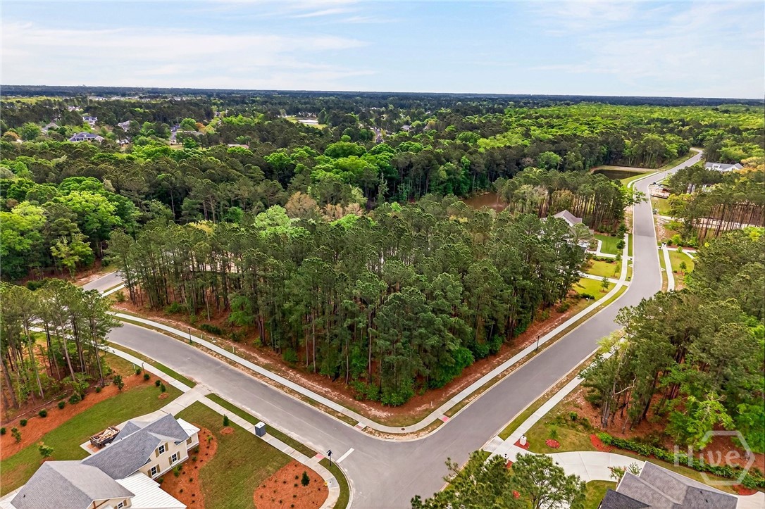 Land in Pooler 5