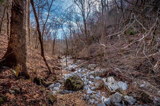 00 Bear Skin Dr, Home with 0 bedrooms, 0 bathrooms and null parking in Harriet AR | Image 11