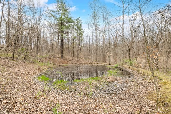 8503 Bean Blossom Rd, House other with 3 bedrooms, 2 bathrooms and null parking in Trafalgar IN | Image 83