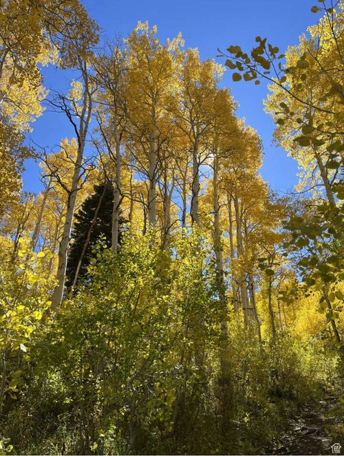 2038-4410 Fawn Way, Heber City, UT, 84032 | Card Image