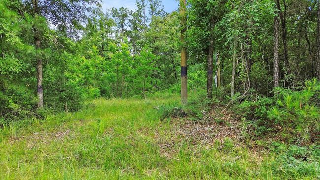 413 N Settlers Way, Home with 0 bedrooms, 0 bathrooms and null parking in Trinity TX | Image 7