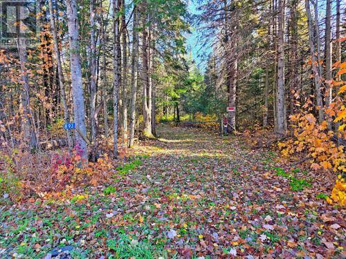 893 Yearley Rd, Utterson, ON, P0B1M0 | Card Image