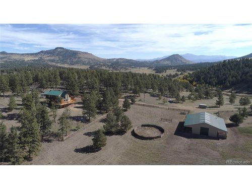 1321 Bristlecone Rd, Guffey, CO, 80820-9405 | Card Image