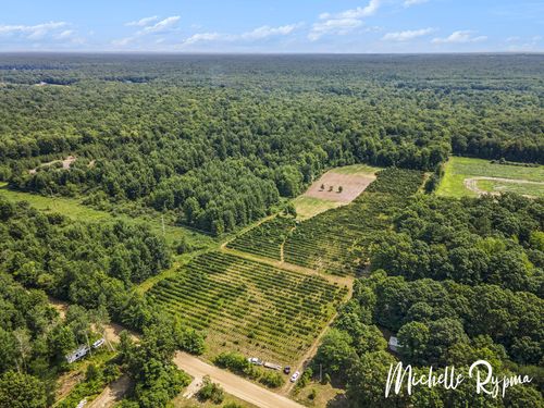 39 Acres 55th St, Pullman, MI, 49450 | Card Image