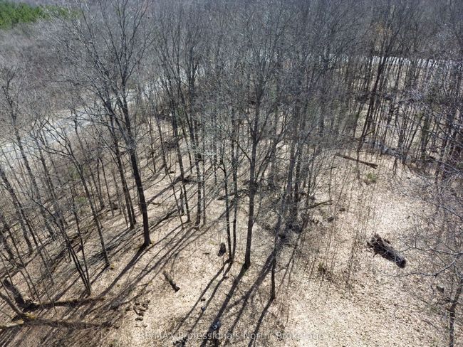 1023 Little Hawk Lake Rd, Home with 0 bedrooms, 0 bathrooms and null parking in Algonquin Highlands ON | Image 6