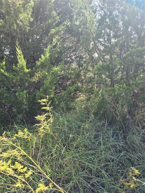 3694 County Road 1103, Celeste, TX, 75423-4860 | Card Image