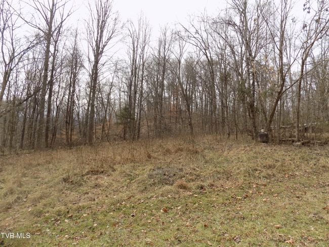 185 Lovin Rd, House other with 4 bedrooms, 2 bathrooms and null parking in Mooresburg TN | Image 47