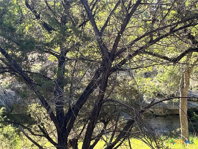 0 Rolling River Vw, Home with 0 bedrooms, 0 bathrooms and null parking in Spring Branch TX | Image 4