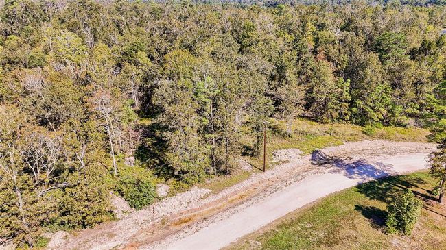 1 Oak Park Trl, Home with 0 bedrooms, 0 bathrooms and null parking in Onalaska TX | Image 12