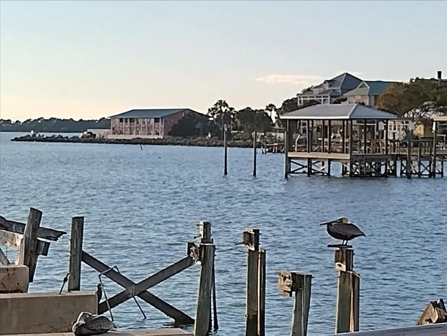 16360 Airport Rd, House other with 2 bedrooms, 2 bathrooms and null parking in CEDAR KEY FL | Image 42