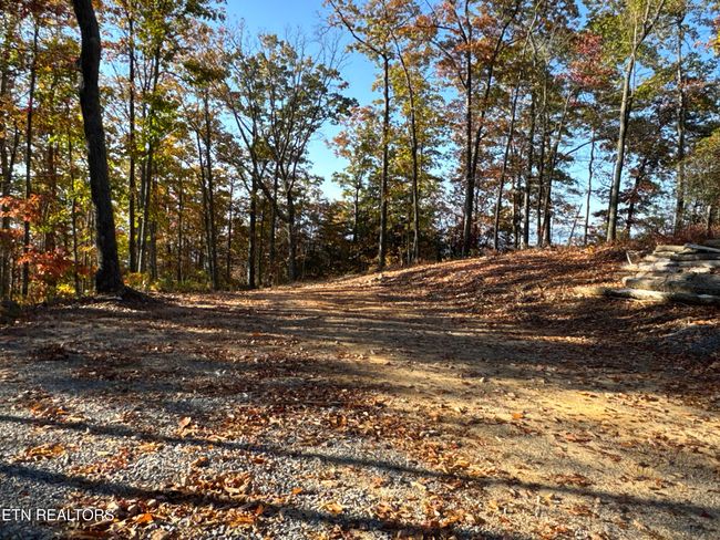 0 Mountain Ash Way, Home with 0 bedrooms, 0 bathrooms and null parking in Sevierville TN | Image 5