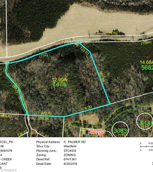 0 Palmer Rd, Westfield, NC, 27053 | Card Image