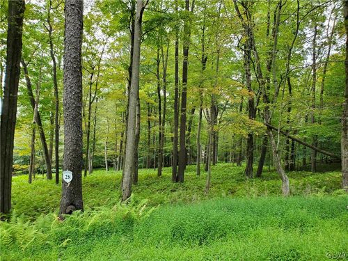 lot-28-28 Oak Leaf Lane, Tobyhanna Twp, PA, 18347 | Card Image