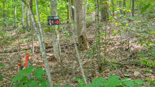 0 Rosseau Lake Rd 1, Utterson, ON, P0B1M0 | Card Image