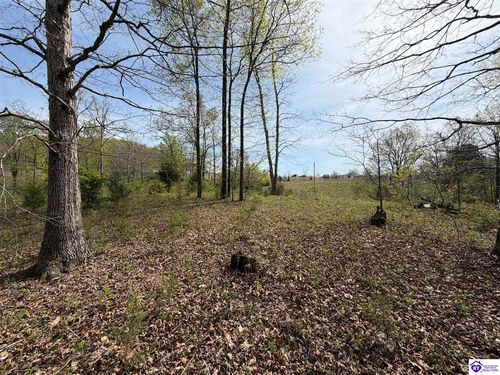 311 Old Glendean Axtel Ln, Hardinsburg, KY, 40143-6603 | Card Image