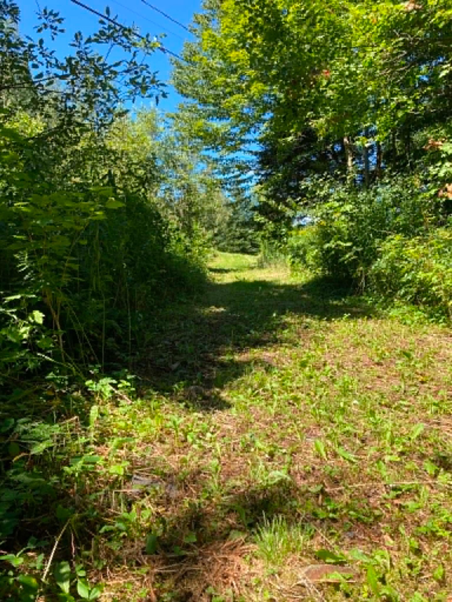 Land in Notre-Dame-des-Bois 4