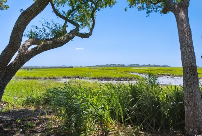 APT-1F - 5137 Highway 17 Business, Condo with 3 bedrooms, 4 bathrooms and null parking in Murrells Inlet SC | Image 25