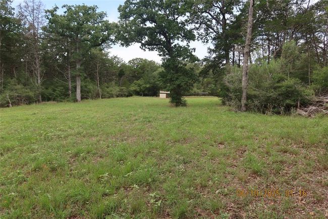 1584 Dungens Mill Rd, Home with 0 bedrooms, 0 bathrooms and null parking in Columbus TX | Image 6