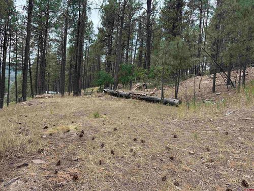 421 Forest Lakes Dr, Bayfield, CO, 81122-9862 | Card Image