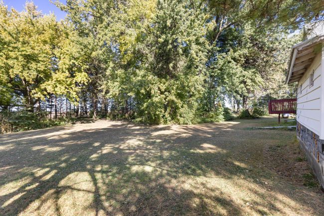 Lots of green space with trees surrounding the 6-acre property. | Image 26
