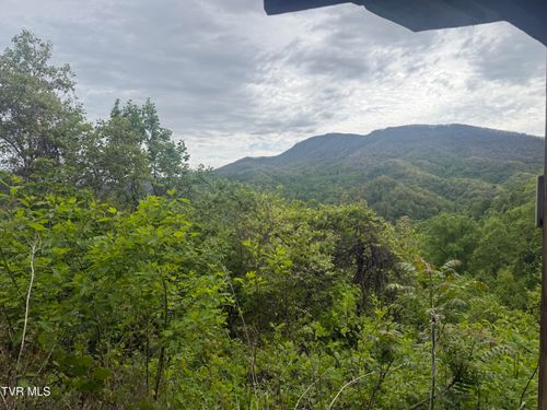 174 Doty Rd, Roan Mountain, TN, 37687-3703 | Card Image