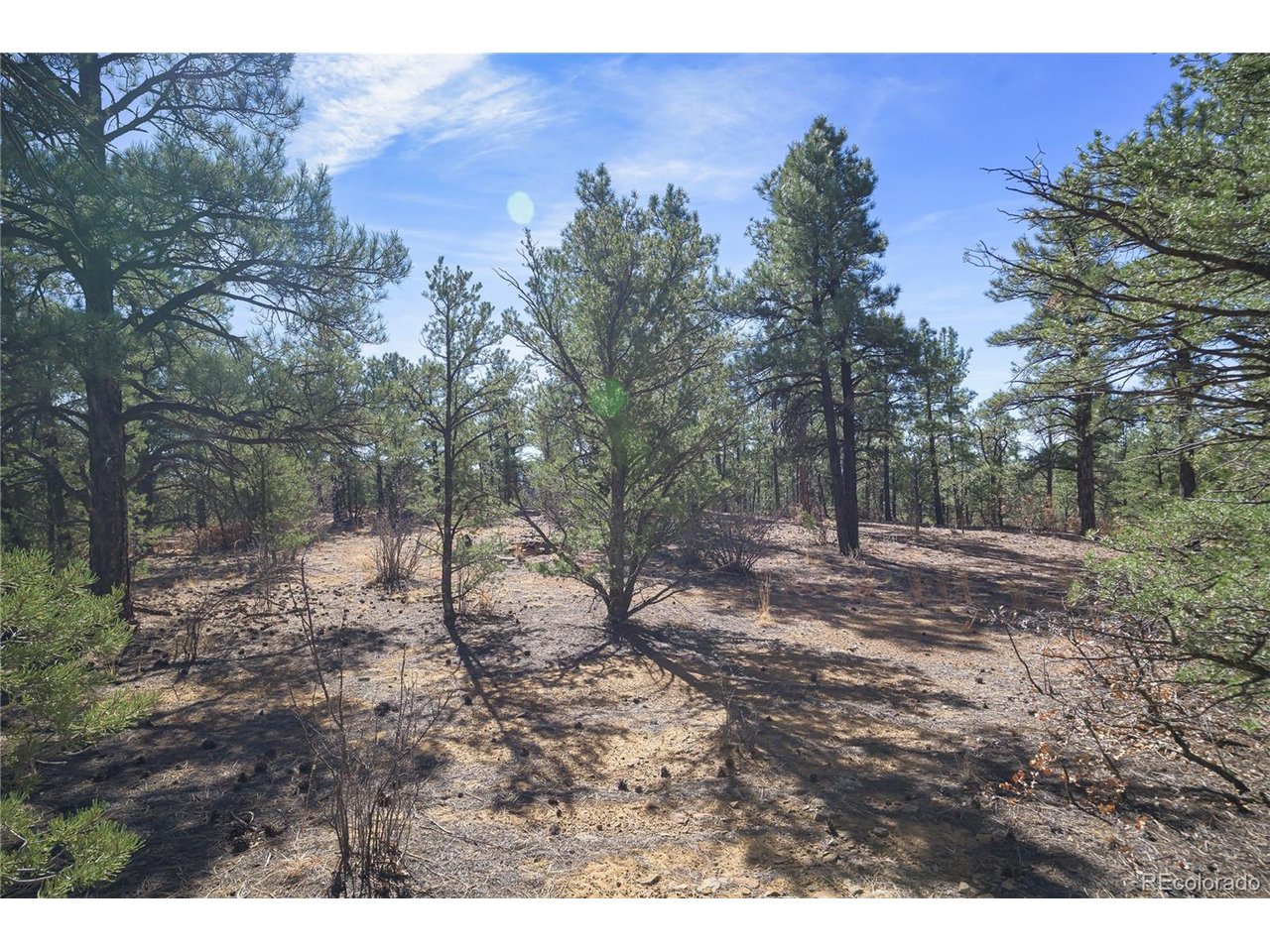 Land in Weston 3
