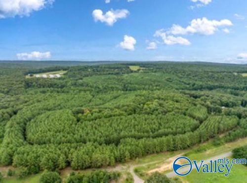 110 Acres Fischer Rd Ne, Fort Payne, AL, 35967 | Card Image