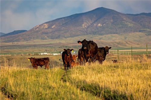 204 Husted Rd, Lewistown, MT, 59457-2363 | Card Image
