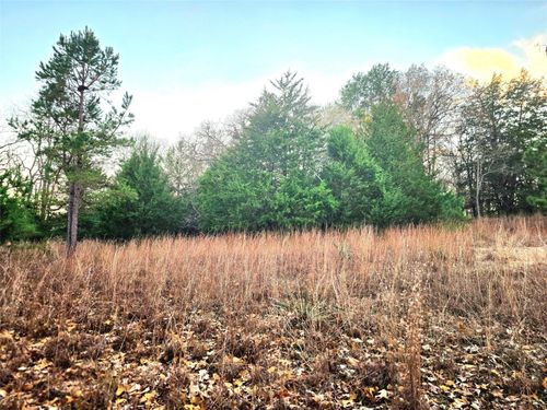 Lot 401 Mallard Way, LaRue, TX, 75770 | Card Image