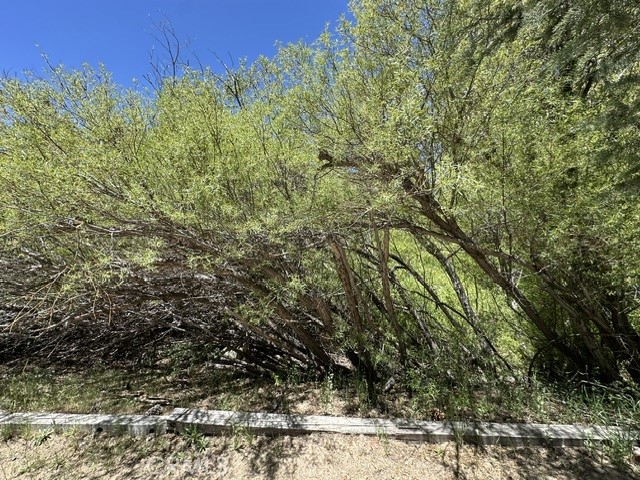 Land in Green Valley Lake 3