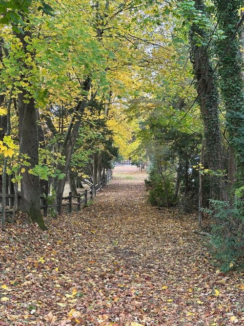 39 Noroton Ave, Darien, CT, 06820-5213 | Card Image