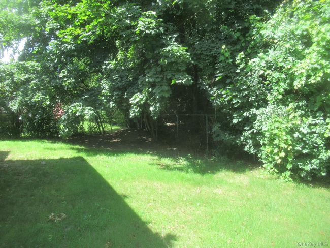View of yard | Image 5
