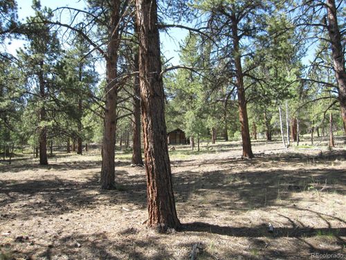 30423 Harvard Cir, Buena Vista, CO, 81211-8741 | Card Image