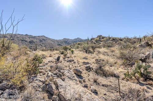 162-3821 W Cayton Mountain Dr, Marana, AZ, 85658 | Card Image