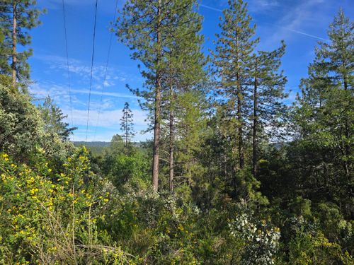 10.5 Ac P C Ln, Colfax, CA, 95713 | Card Image