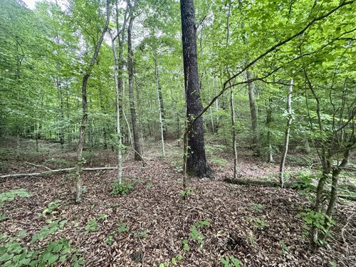 1030 Highway 438 W, Lobelville, TN, 37097 | Card Image