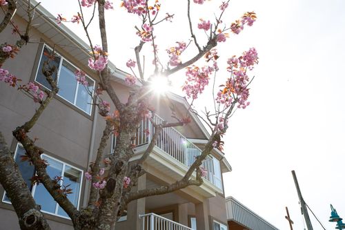 307-5711 Mermaid St, Sechelt, BC, V7Z0J6 | Card Image