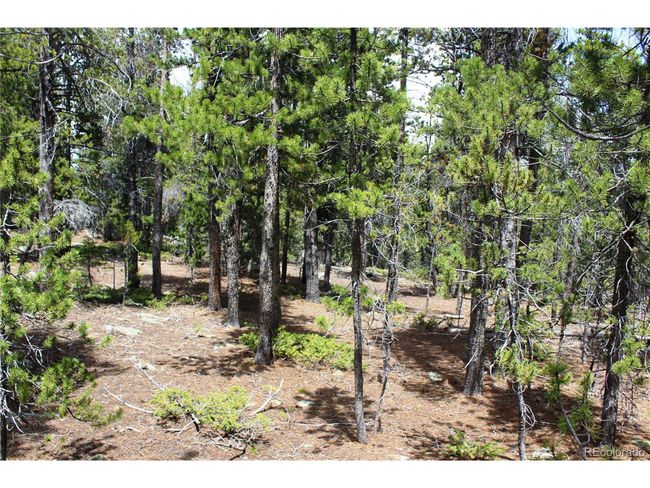 435 Aspen Rd, Home with 0 bedrooms, 0 bathrooms and null parking in Black Hawk CO | Image 31