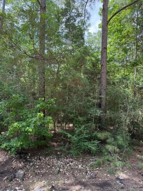 TBD 21st St, Woodville, TX, 75979 | Card Image